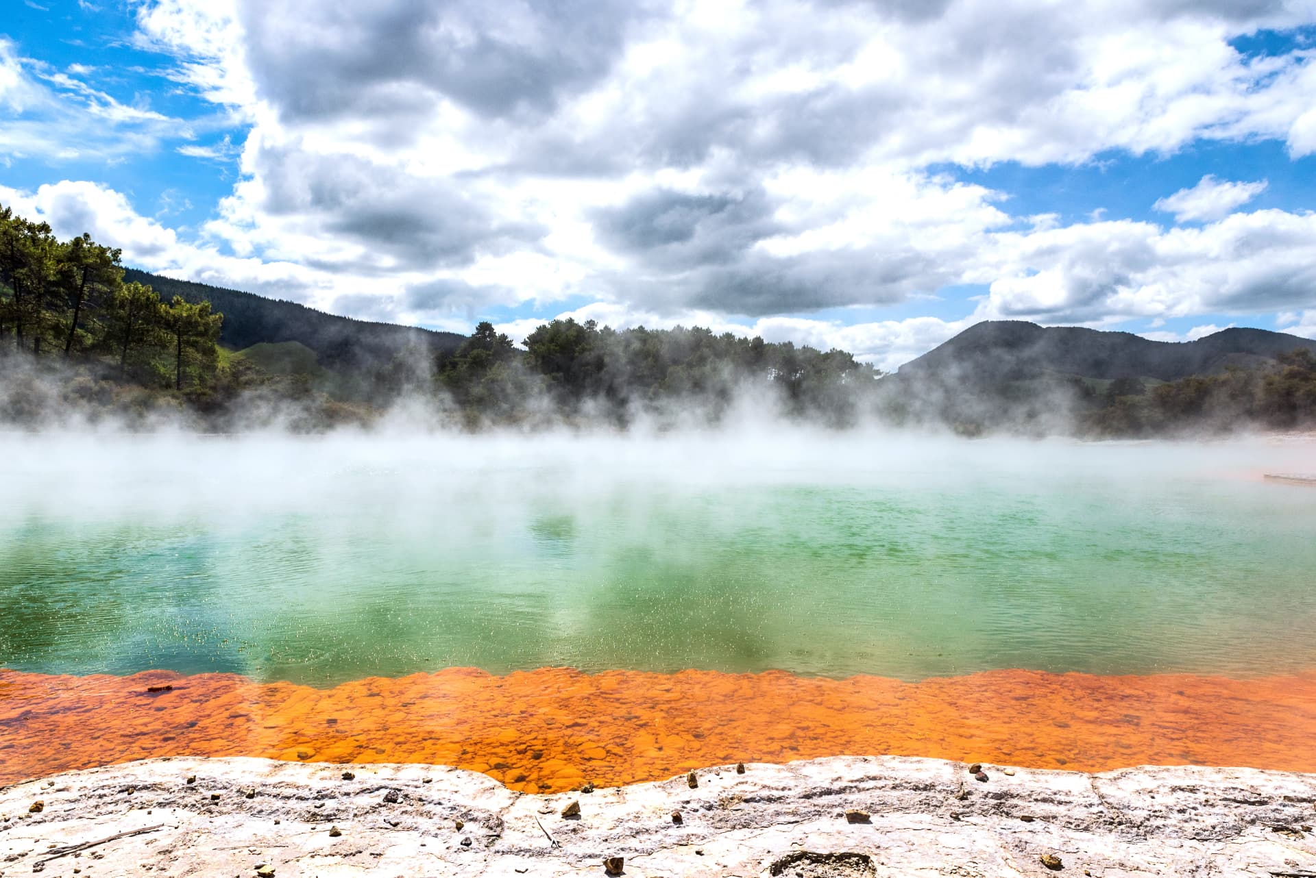Rotorua hot springs and geysers