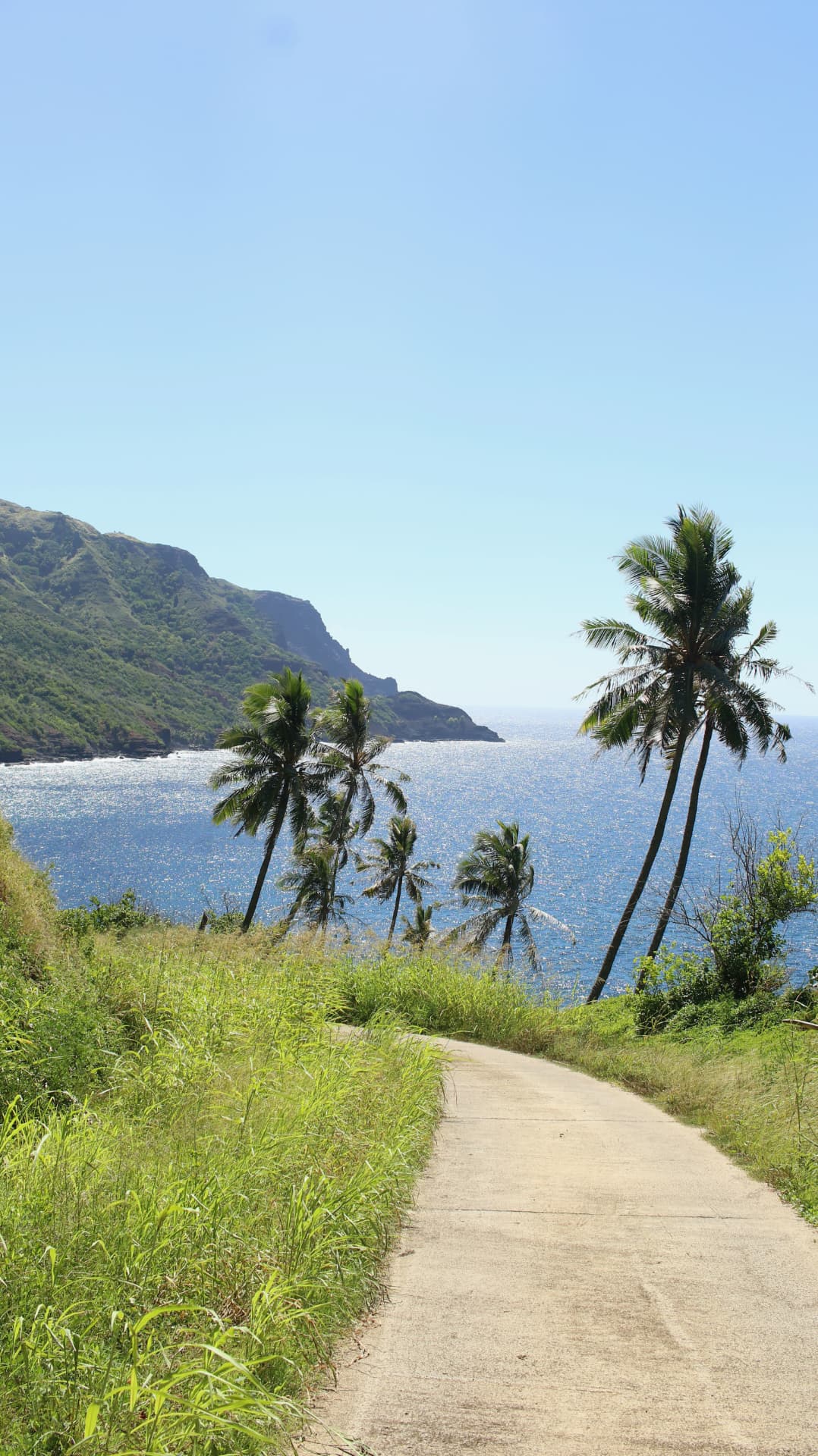 Coastal road lined with coconut palms facing the ocean, Marquesas Islands