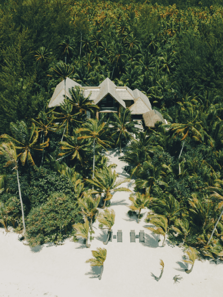 Villa de The Brando nichée dans la cocoteraie, vue du ciel