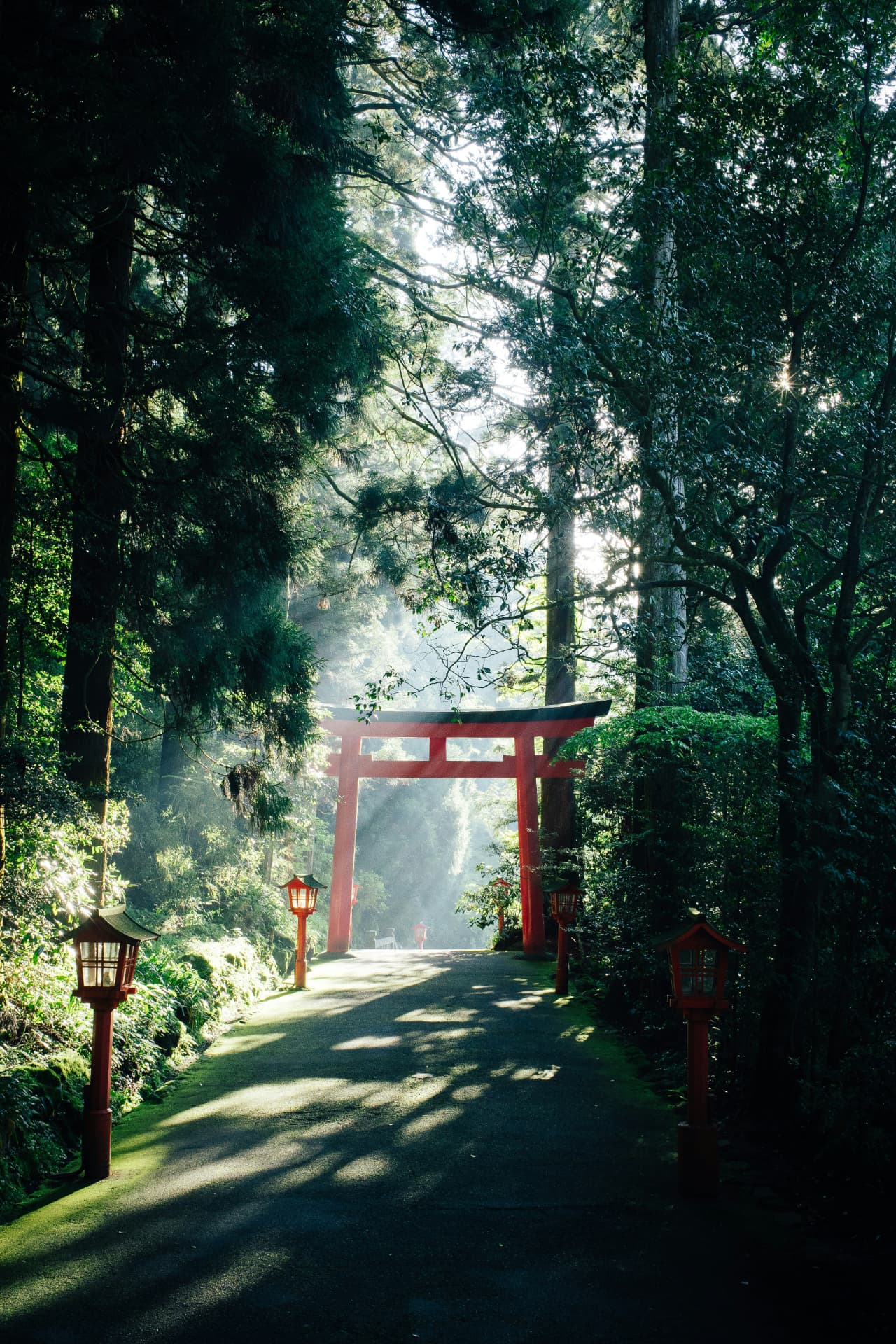 Torii rouge dans une forêt japonaise